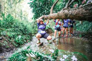 BIB: 
                            <button type="button" onclick="openModal(25515848)" class="btn btn-primary btn-sm float-right btn-popup" data-toggle="modal" data-target=".modal-high-quality">
                        <i class="fas fa-shopping-cart"></i> Add to Cart
                    </button>
                                            <button type="button" onclick="isThisMe(25515848, true)" class="btn btn-success btn-sm float-right btn-popup btn-isme hidden" data-toggle="tooltip" data-placement="bottom" title="นี่คือรูปของคุณใช่ไหม คลิกที่นี่เพื่อเอาเข้าอัลบั้ม">
                        <i class="fas fa-plus"></i> Add to album
                    </button>
                    <button type="button" onclick="isThisMe(25515848, false)" class="btn btn-warning btn-sm float-right btn-popup btn-isnotme hidden">
                        <i class="fas fa-ban"></i> Remove from album
                    </button>